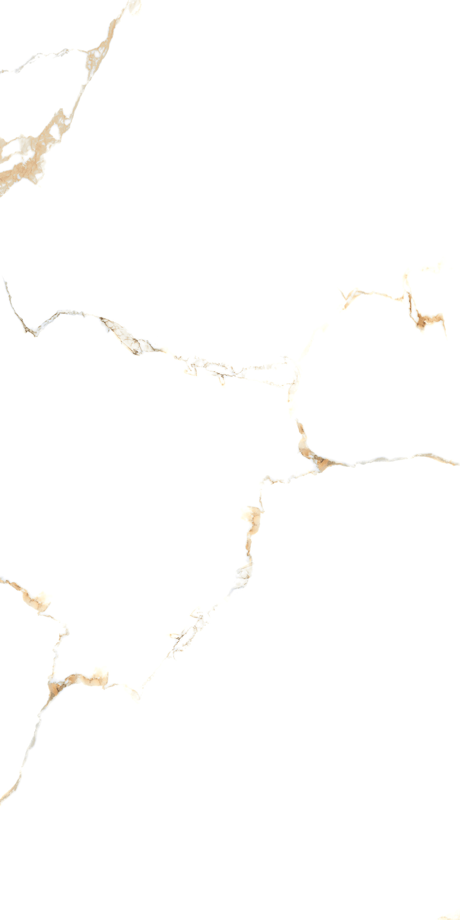 Porcelain Tile 60x120 Golden Statuario (Glossy)